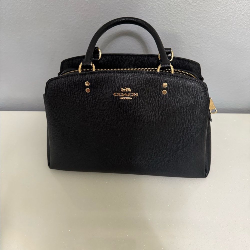 Coach Lillie Carryall